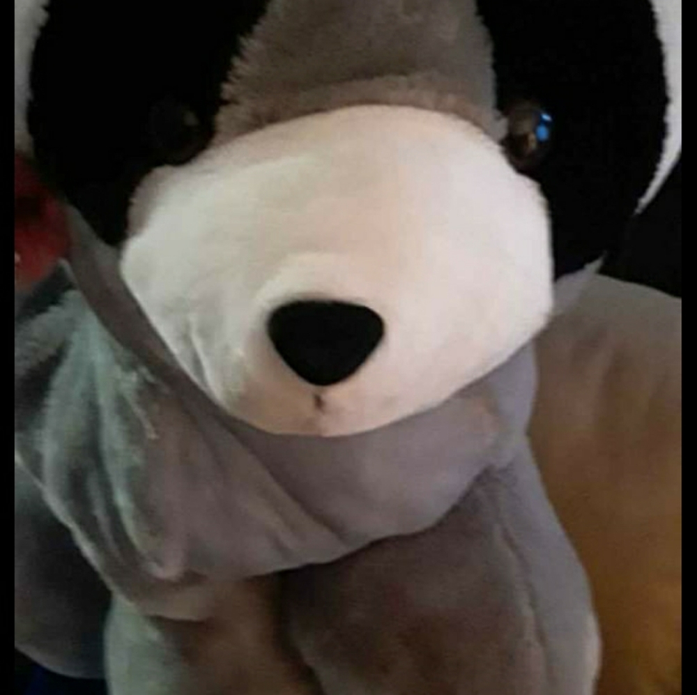 Huge plush 🦝🦝🦝